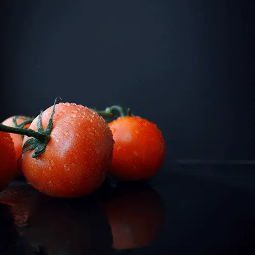 tomatoes on a black background