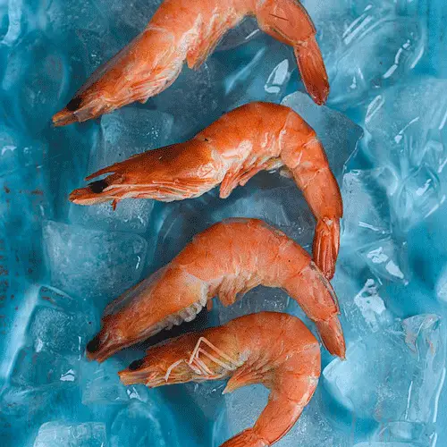 shrimp on ice