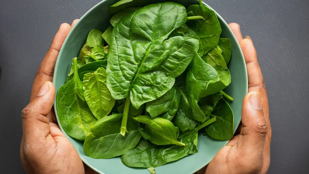 spinach in a bowl